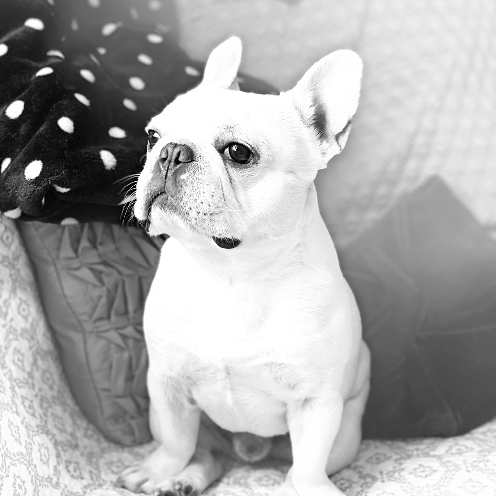 Meet your Posher, Lula